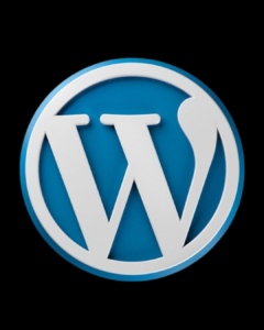 Top Digital Marketing Strategist in Palakkad